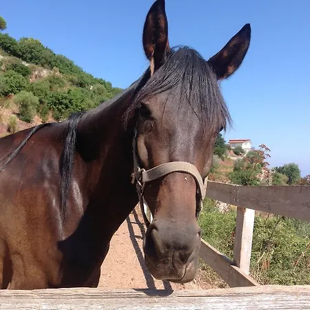 Farm stay Santa Margherita *