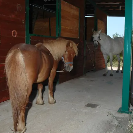 Alojamento de Turismo Rural Santa Margherita