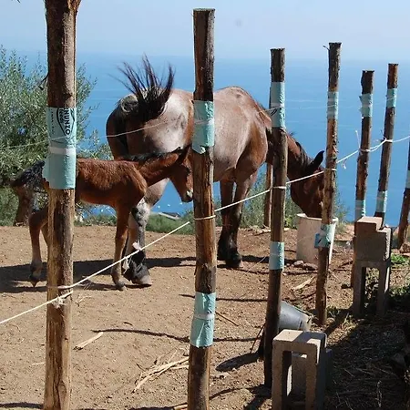 Santa Margherita * Gioiosa Marea
